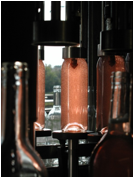 C:\Users\Sónia\Desktop\My Dropbox\NRL\Fotos\Engarrafamento\P1010023.JPG